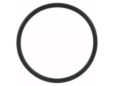 Ford DG9Z-2M060-A Motor O-Ring