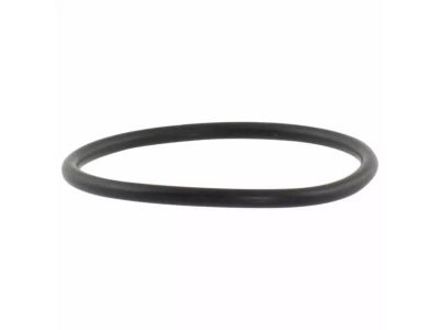 Ford DG9Z-2M060-A Motor O-Ring