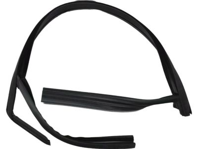 Ford CJ5Z-7825767-A Run Channel