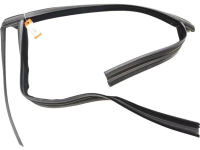 Ford CJ5Z-7825767-A Run Channel