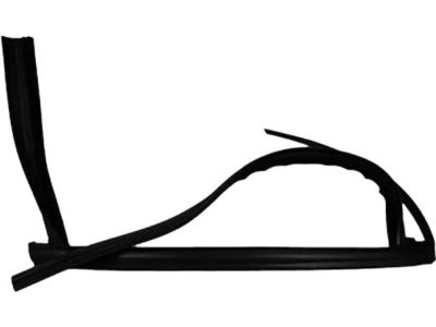 Ford CJ5Z-7825767-A Run Channel