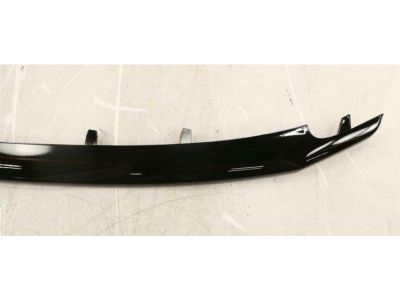 Ford BB5Z-8200-BB Lower Molding