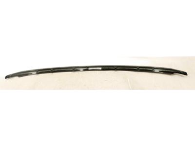Ford BB5Z-8200-BB Lower Molding