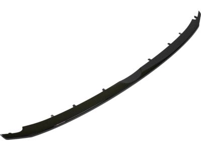 Ford BB5Z-8200-BB Lower Molding