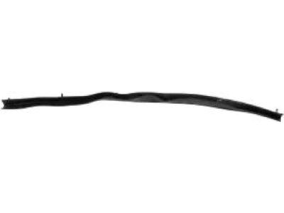 Ford 8S4Z-5425324-A Lower Weatherstrip