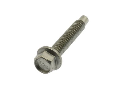 Ford -W707643-S437 Running Board Bolt