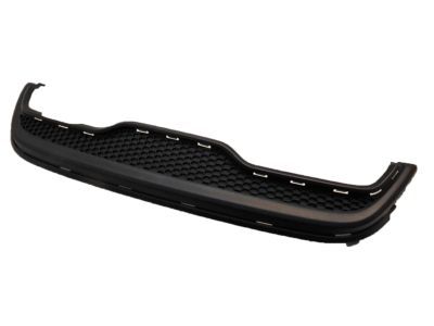 Ford D2BZ-17808-A Lower Grille