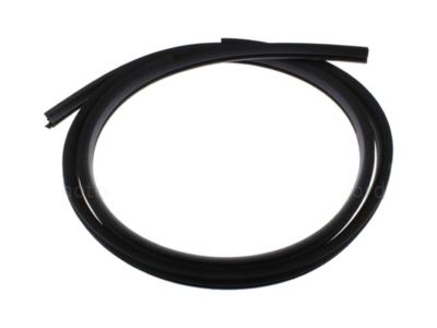 Ford BB5Z-78253A10-B Weatherstrip On Body