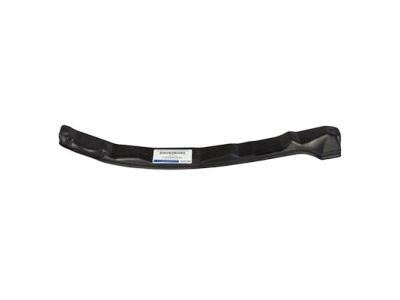 Ford DP5Z-5420520-A Front Weatherstrip