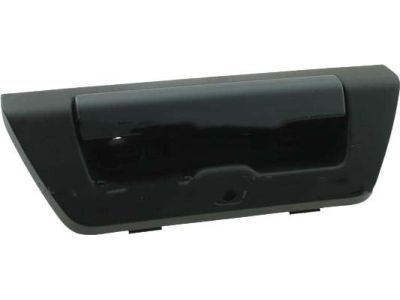 Ford FL3Z-9943400-KAPTM Handle