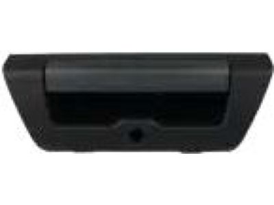 Ford FL3Z-9943400-KAPTM Handle