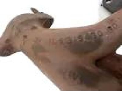 Ford 1L5Z-9430-BF Manifold