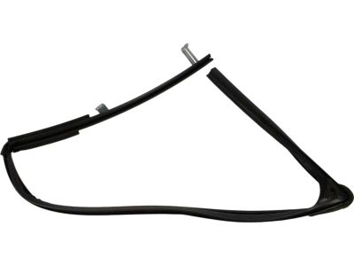 Ford AG1Z-5421597-C Run Channel