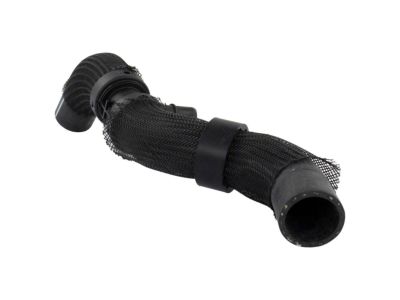 Ford L1MZ-8260-N Upper Hose