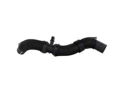 Ford L1MZ-8260-N Upper Hose