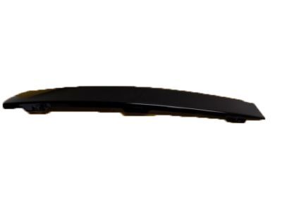 Ford 4L1Z-78255A35-AAA Upper Molding