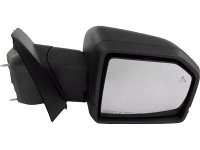 Ford JL3Z-17682-FB Mirror Assembly