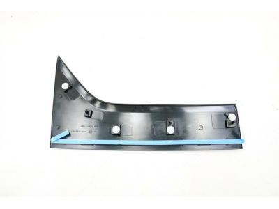 Ford DT1Z-1720938-BA Front Molding