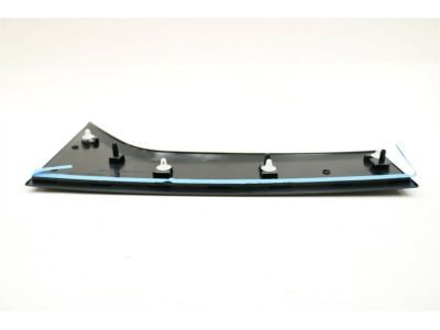 Ford DT1Z-1720938-BA Front Molding