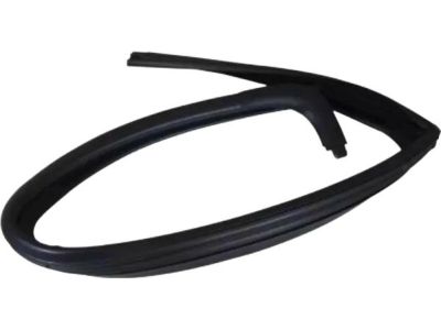 Ford 9L3Z-1625767-A Run Channel