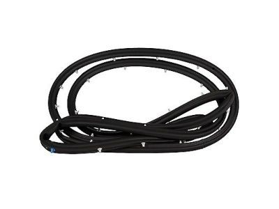 Ford CJ5Z-7820530-A Door Weatherstrip