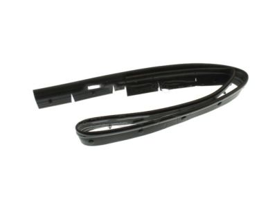 Ford CT4Z-16B990-A Front Weatherstrip
