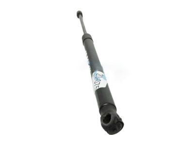 Ford BM5Z-54406A10-A Lift Cylinder