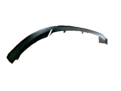 Ford AG1Z-17D957-CC Lower Deflector
