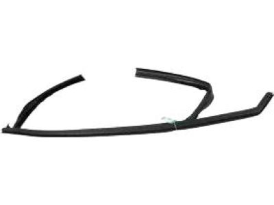 Ford DS7Z-5421597-B Run Channel