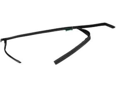 Ford DS7Z-5421597-B Run Channel