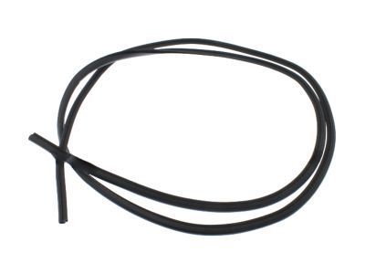 Ford 5W1Z-5420709-AA Weatherstrip On Body