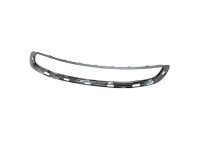 Ford AE8Z-8200-BA Grille Surround