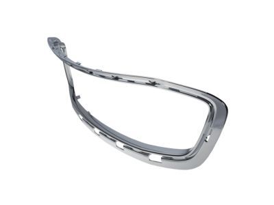 Ford AE8Z-8200-BA Grille Surround