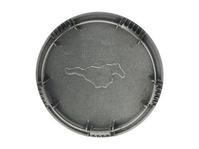 Ford F9ZZ-1130-FA Hub Cap