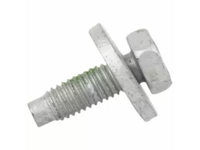 Ford -W702928-S442 Filler Pipe Screw