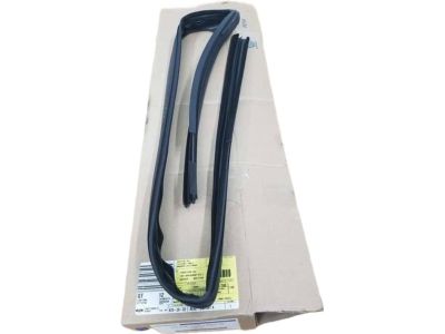 Ford AE5Z-5421597-A Run Channel