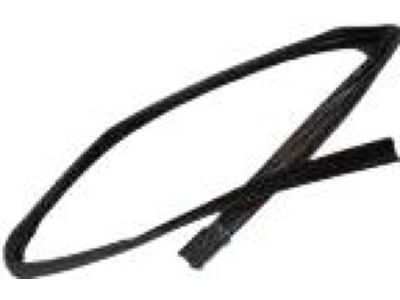 Ford AE5Z-5421597-A Run Channel