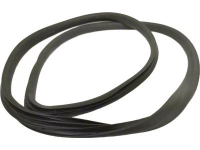 Ford CE8Z-5825324-A Weatherstrip On Body
