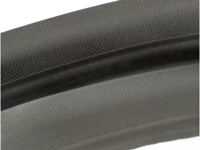 Ford CE8Z-5825324-A Weatherstrip On Body