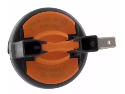 Ford DJ5Z-13N021-A Headlamp Bulb