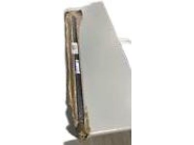 Ford AB3Z-2620935-C Belt Molding