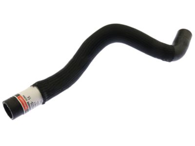 Ford DG9Z-8260-G Upper Hose