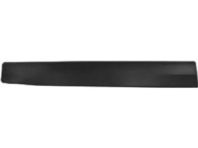 Ford CN1Z-9920879-DA Side Molding