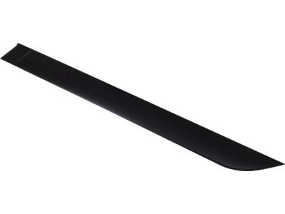 Ford 5S4Z-5425533-AAPTM Body Side Molding