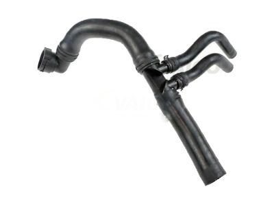 Ford BL3Z-8286-A Lower Hose