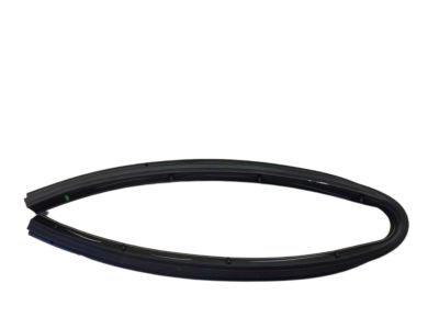 Ford FA1Z-5820759-B Lower Weatherstrip