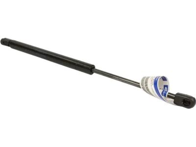 Ford JL1Z-16C826-A Lift Cylinder