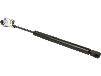 Ford JL1Z-16C826-A Lift Cylinder