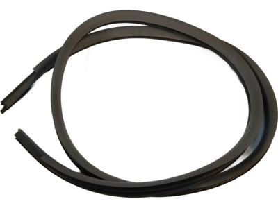 Ford 4W4Z-54253A10-AAA Weatherstrip On Body