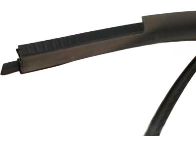 Ford 4W4Z-54253A10-AAA Weatherstrip On Body
